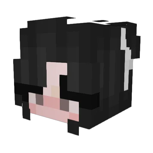 valerie_e Minecraft avatar head, 3D render