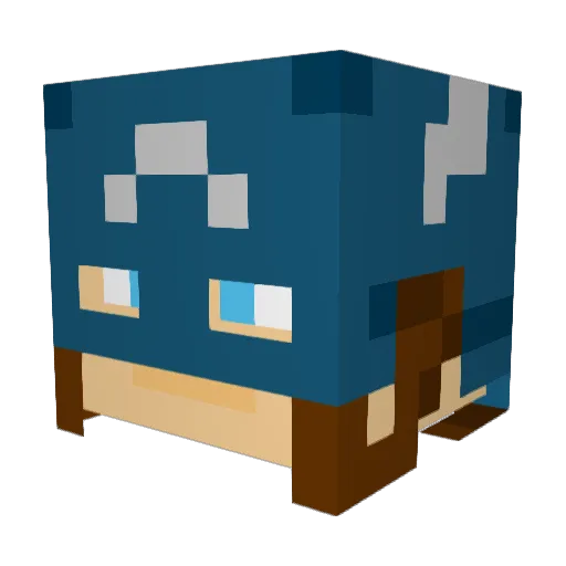 valexander62 Minecraft avatar head, 3D render
