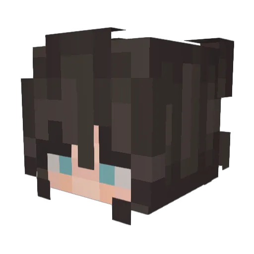 valha1 Minecraft avatar head, 3D render