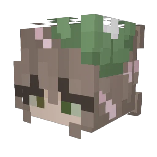 valkyrie2206 Minecraft avatar head, 3D render