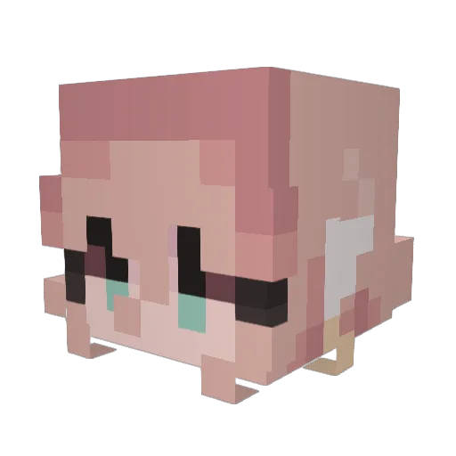 valleywaves Minecraft avatar head, 3D render