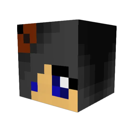 vallmo78 Minecraft avatar head, 3D render