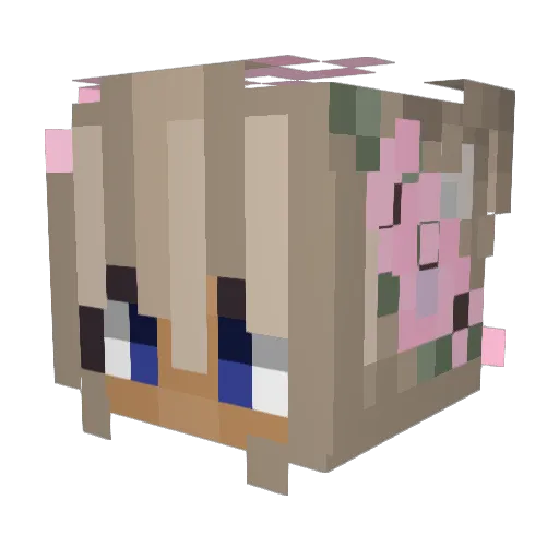valm3 Minecraft avatar head, 3D render