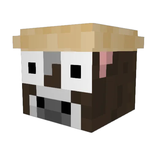 valmet305 Minecraft avatar head, 3D render