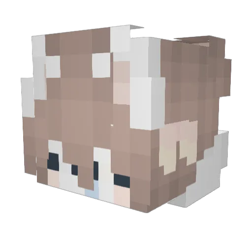 valndilism Minecraft avatar head, 3D render