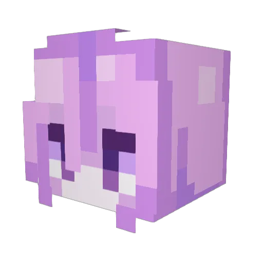 valnrob Minecraft avatar head, 3D render