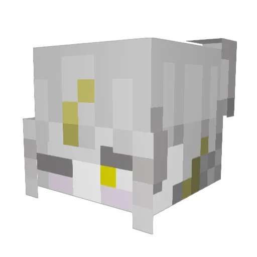 valnuya Minecraft avatar head, 3D render