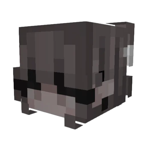 valoncrack Minecraft avatar head, 3D render