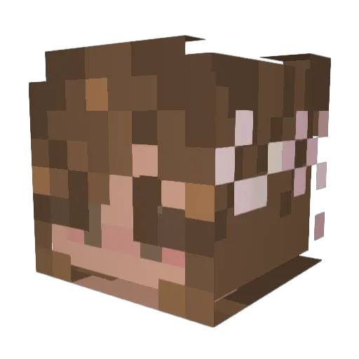 valus000 Minecraft avatar head, 3D render