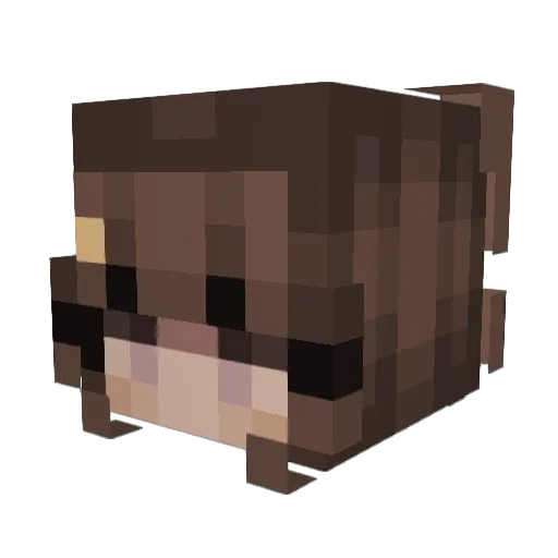 vamp264 Minecraft avatar head, 3D render
