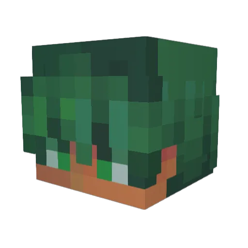 vampiir Minecraft avatar head, 3D render
