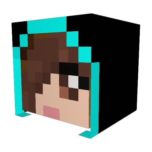 vampirelover4673 Minecraft avatar head, 3D render