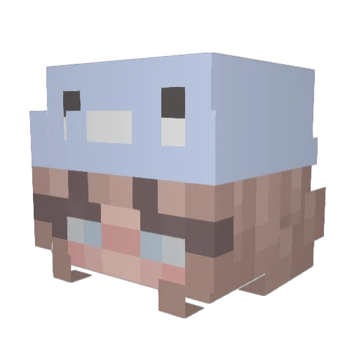 vampliv Minecraft avatar head, 3D render