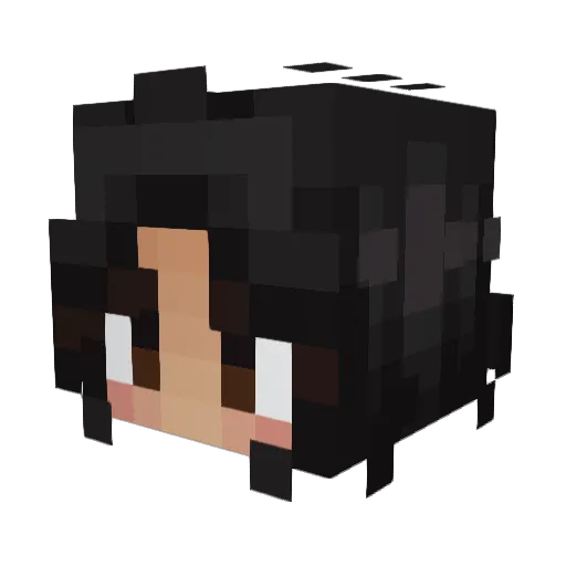 vampybl00d Minecraft avatar head, 3D render