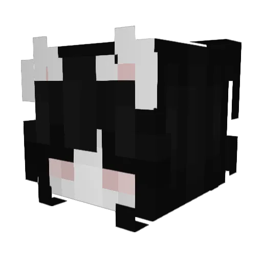 vampyrepunx Minecraft avatar head, 3D render
