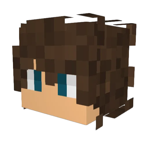 vanDijkies37 Minecraft avatar head, 3D render