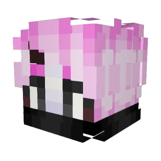 vanR228 Minecraft avatar head, 3D render