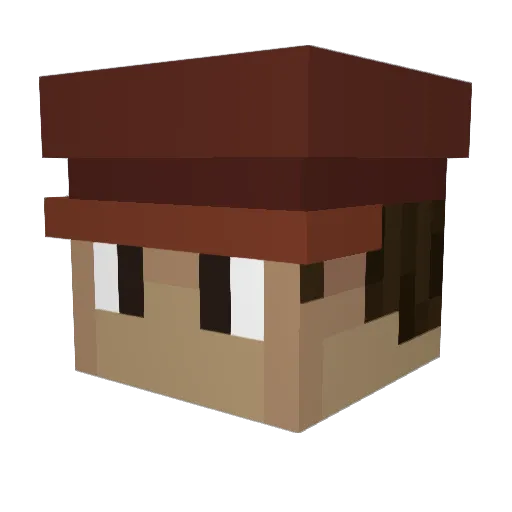 van_pineapple Minecraft avatar head, 3D render