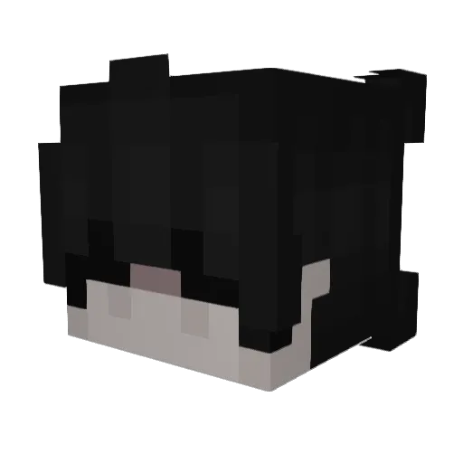 vanchok Minecraft avatar head, 3D render