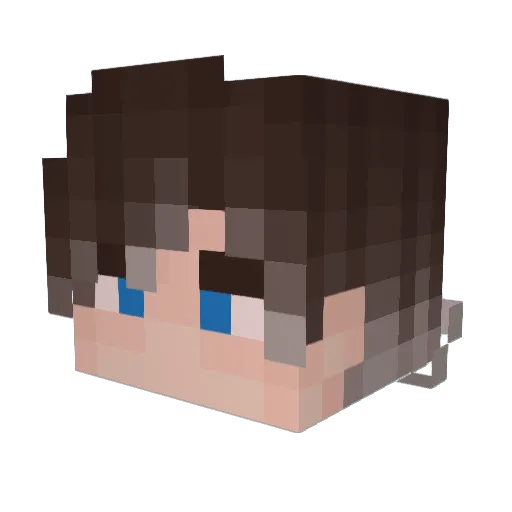 vandium_ Minecraft avatar head, 3D render
