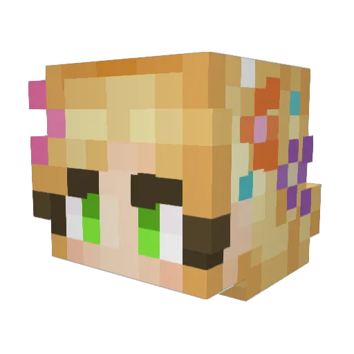 vane050 Minecraft avatar head, 3D render