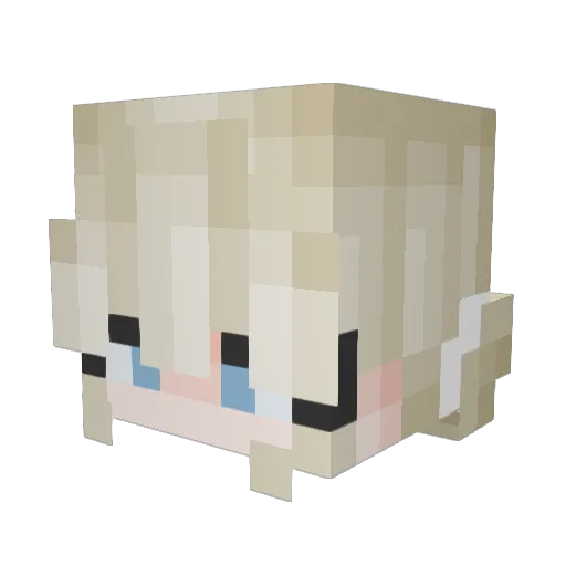 vanebri Minecraft avatar head, 3D render