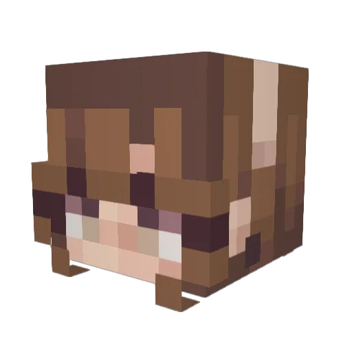 vaneplay Minecraft avatar head, 3D render