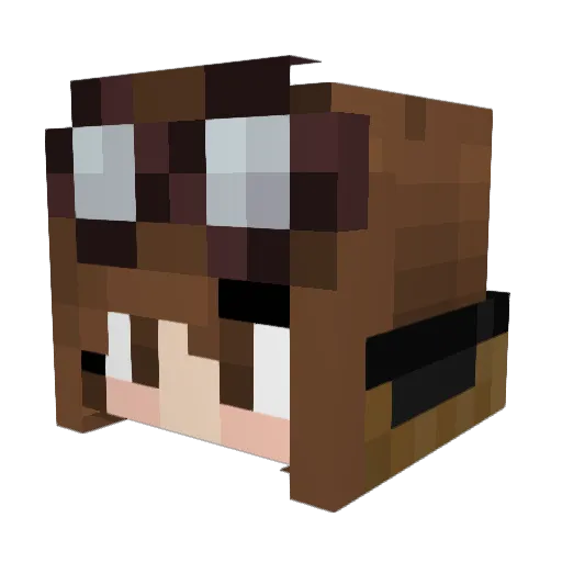 vanesar Minecraft avatar head, 3D render