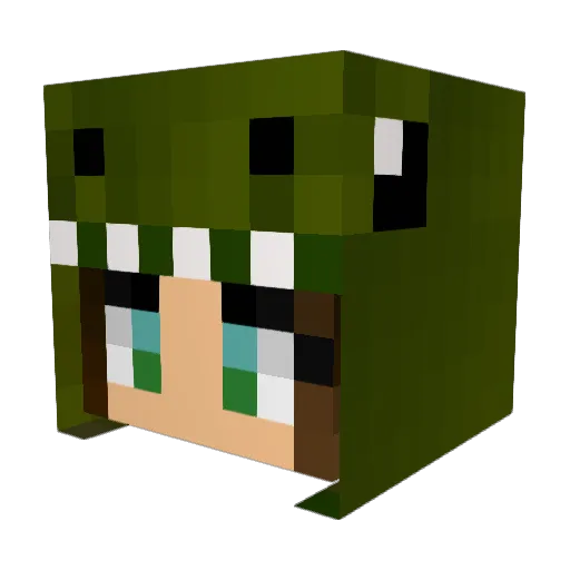 vanesx Minecraft avatar head, 3D render