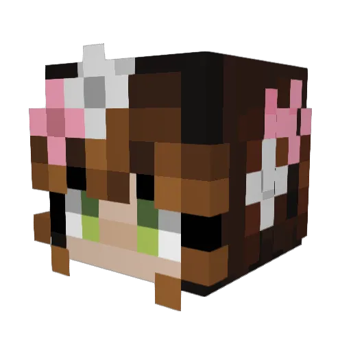 vanetav19 Minecraft avatar head, 3D render