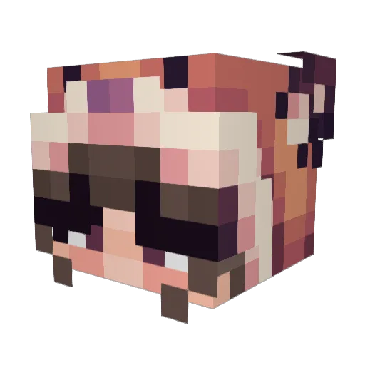 vanetora Minecraft avatar head, 3D render