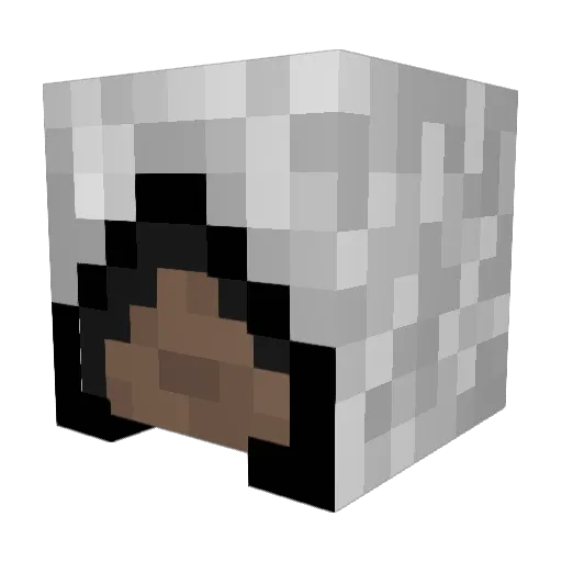 vangam Minecraft avatar head, 3D render