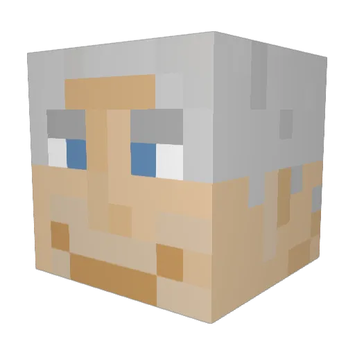 vangoolvamp44 Minecraft avatar head, 3D render