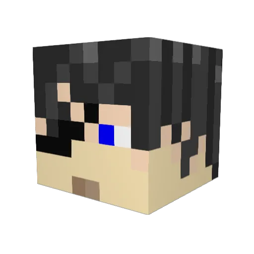 vanguard_2891 Minecraft avatar head, 3D render
