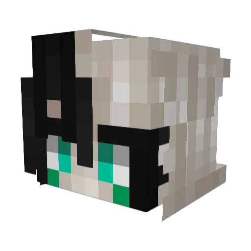 vanhafnium Minecraft avatar head, 3D render