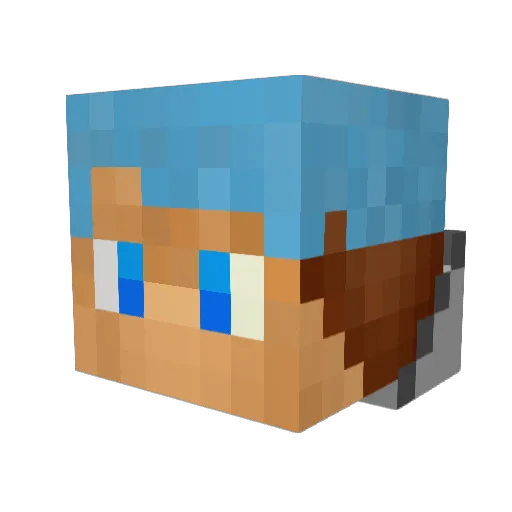 vanian11 Minecraft avatar head, 3D render