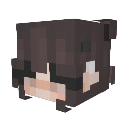 vanifuny20 Minecraft avatar head, 3D render