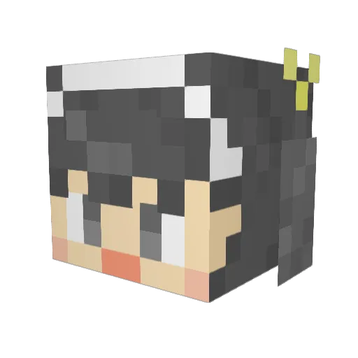 vanilla0983 Minecraft avatar head, 3D render