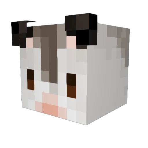 vanillabean2007 Minecraft avatar head, 3D render