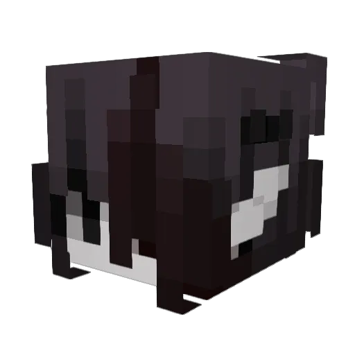 vanityzado Minecraft avatar head, 3D render