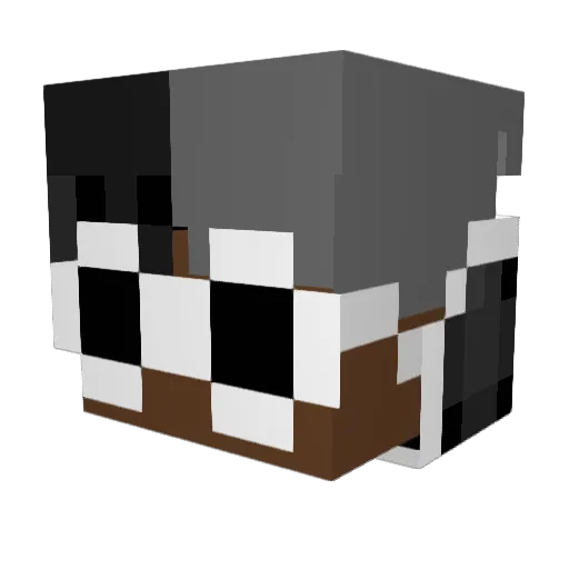 vanixx9 Minecraft avatar head, 3D render