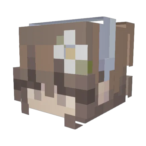 vaniya910 Minecraft avatar head, 3D render