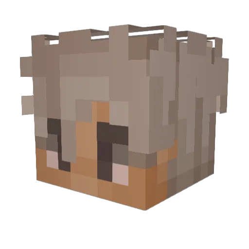 vankemppp Minecraft avatar head, 3D render