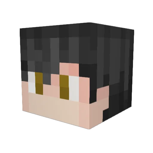 vanliere69 Minecraft avatar head, 3D render