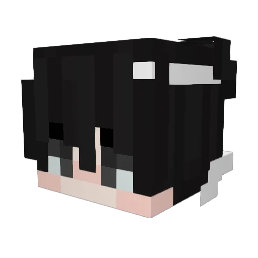 vanlisk Minecraft avatar head, 3D render
