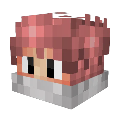 vanmary022 Minecraft avatar head, 3D render