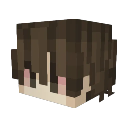 vanmil2006 Minecraft avatar head, 3D render