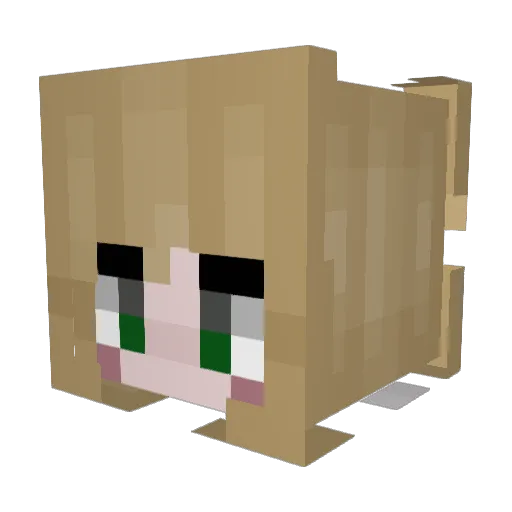 vannilols Minecraft avatar head, 3D render