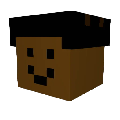 vannishes Minecraft avatar head, 3D render
