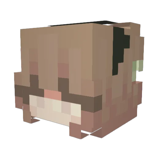 vannixia Minecraft avatar head, 3D render
